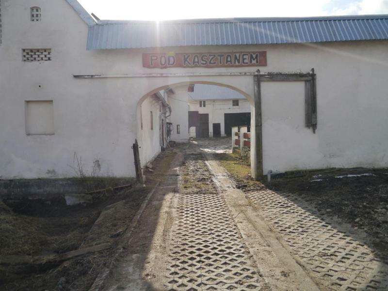 Pod Kasztanem Gospodarstwo Agroturystyczne Stronie Slaskie Exterior photo